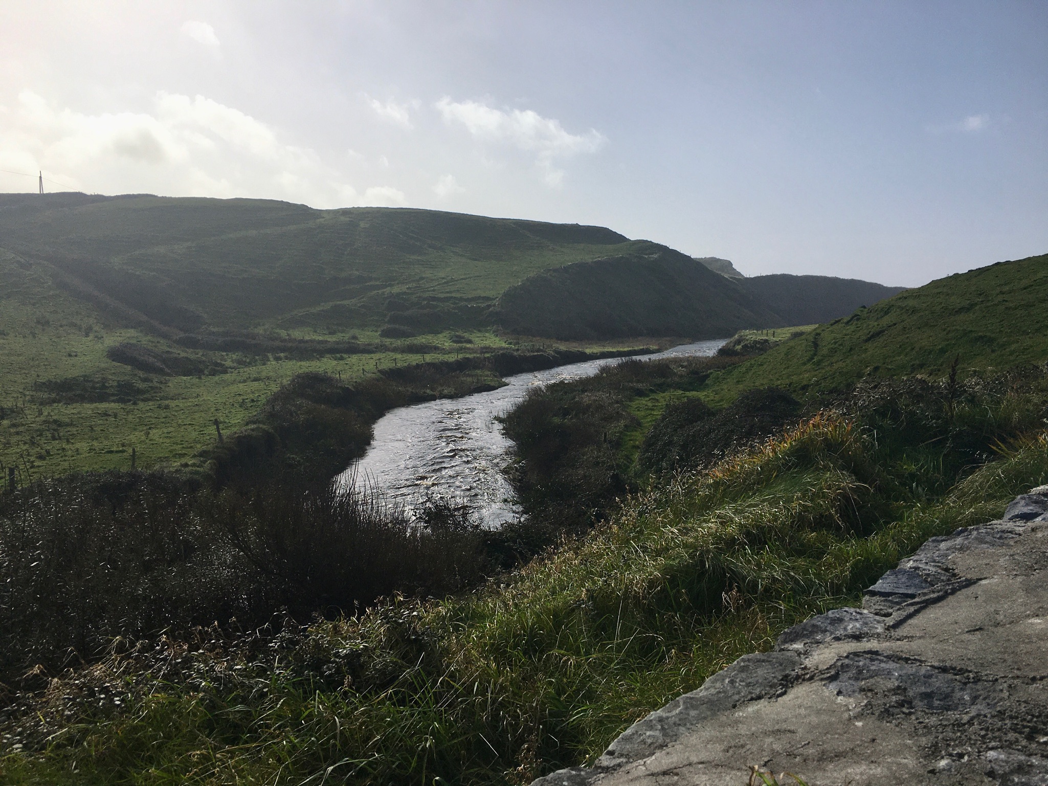 06C1D7A7-1FB7-43A1-9FC5-09F9A4DB3072