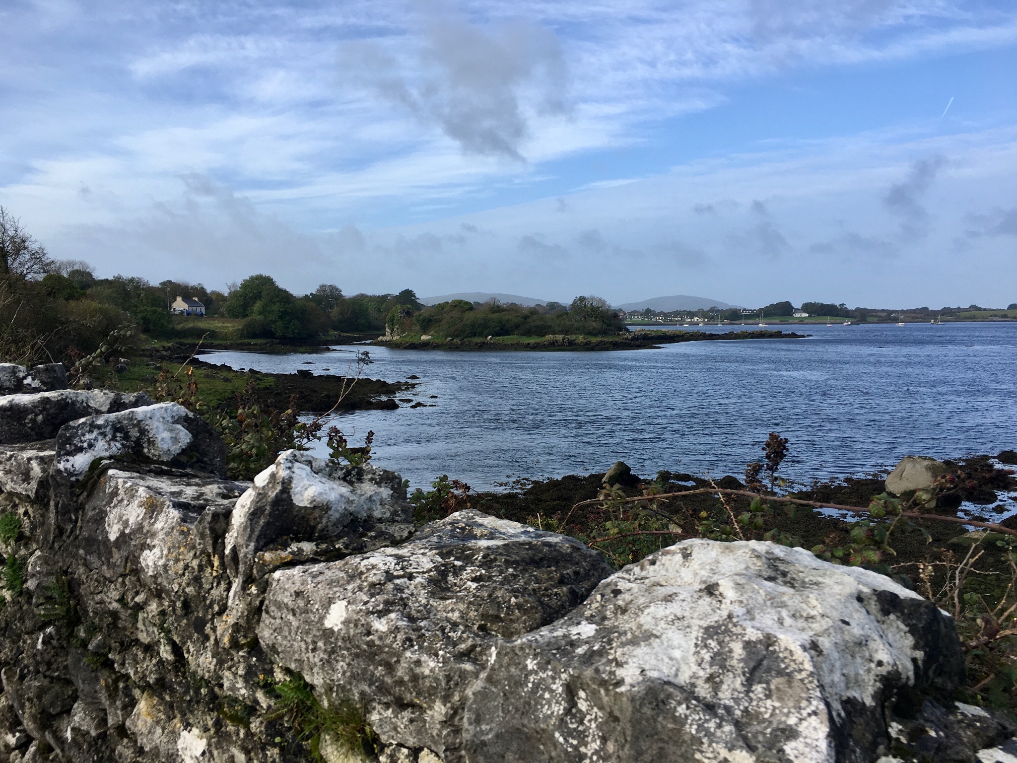 28F56B20-8AF6-42BA-B1F6-486D66FA7CDF