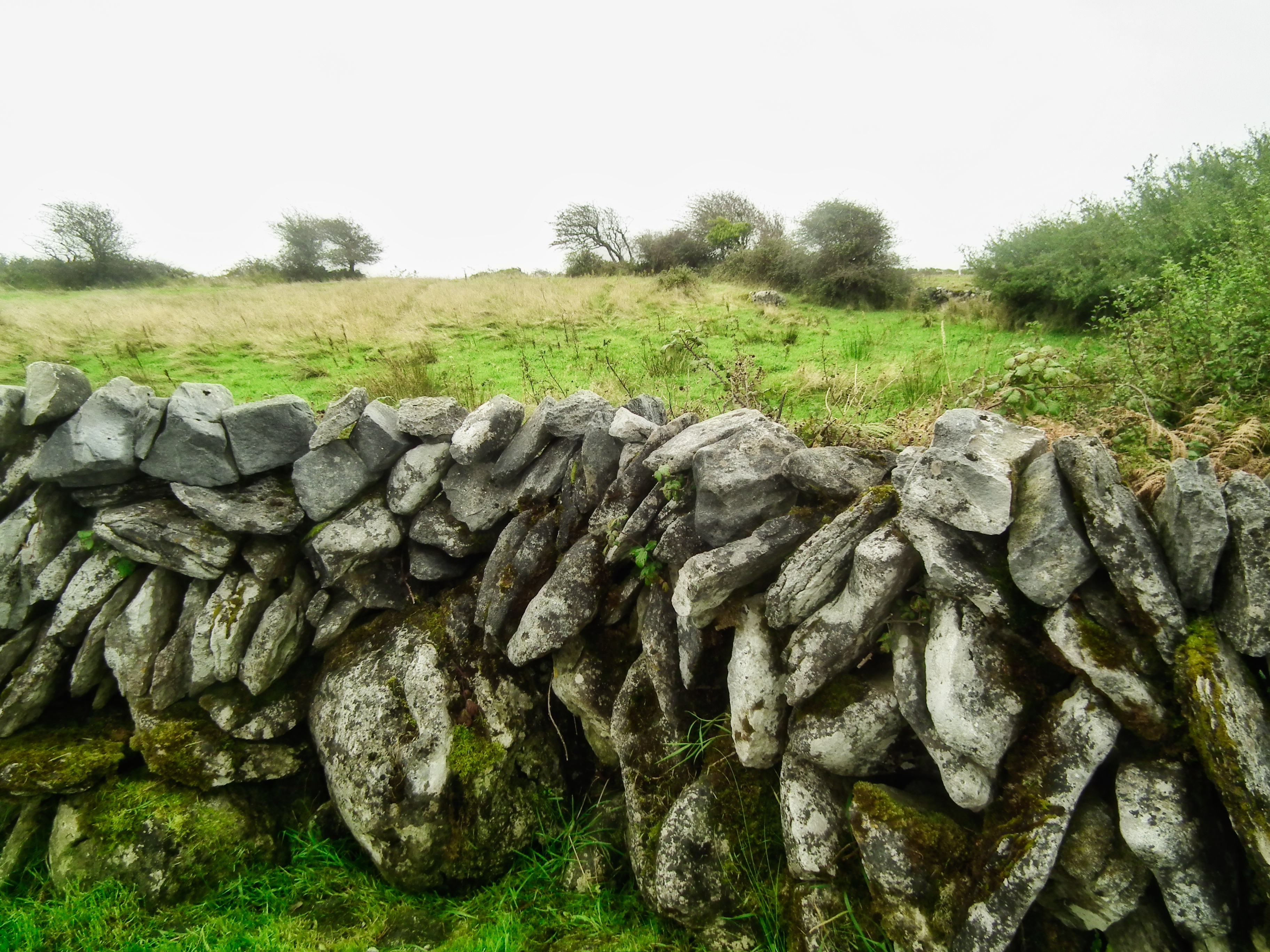 galwway dry stone
