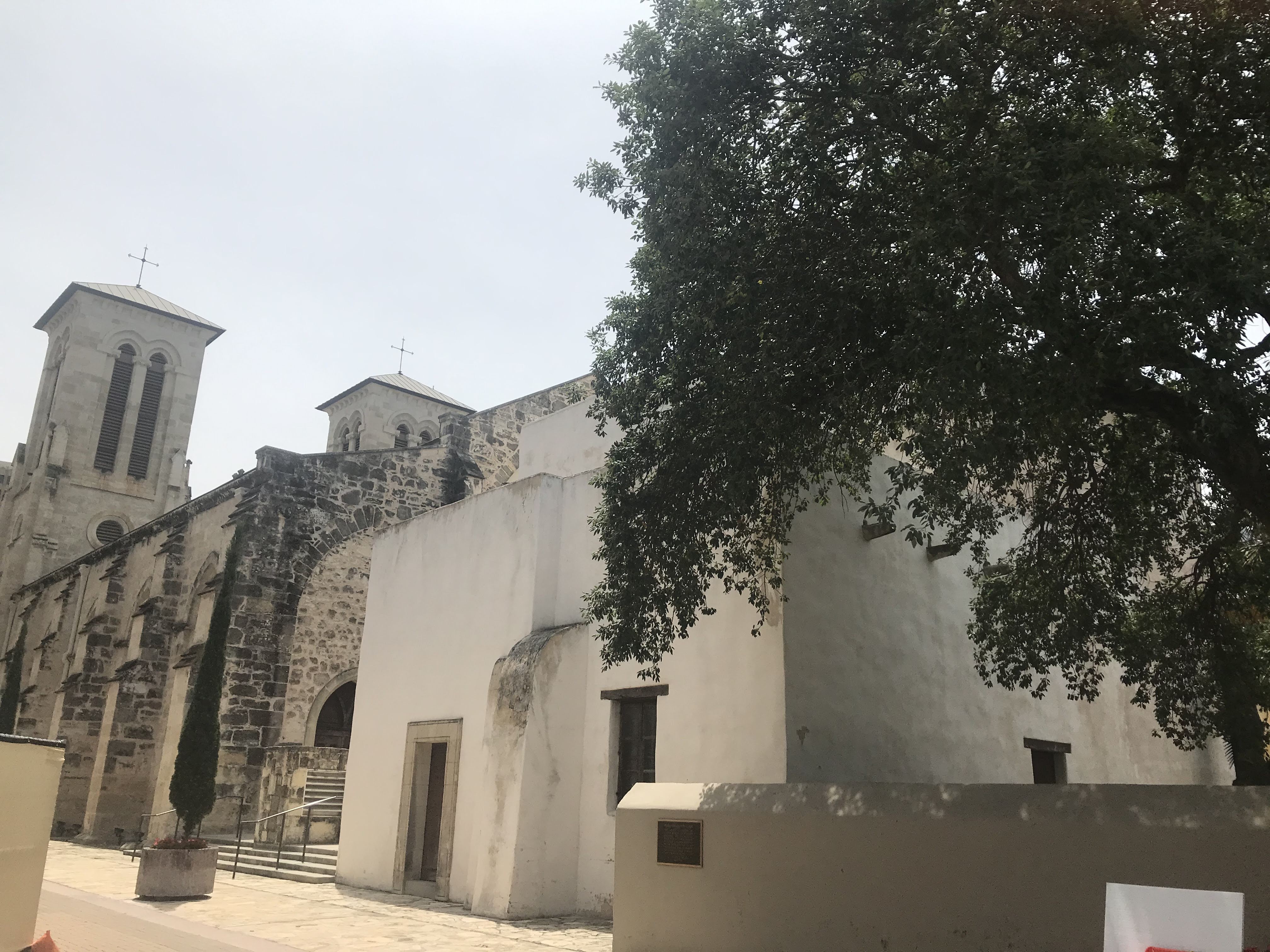 0e61dcfb-5b6a-4eb4-a4e5-3ce967455f1d