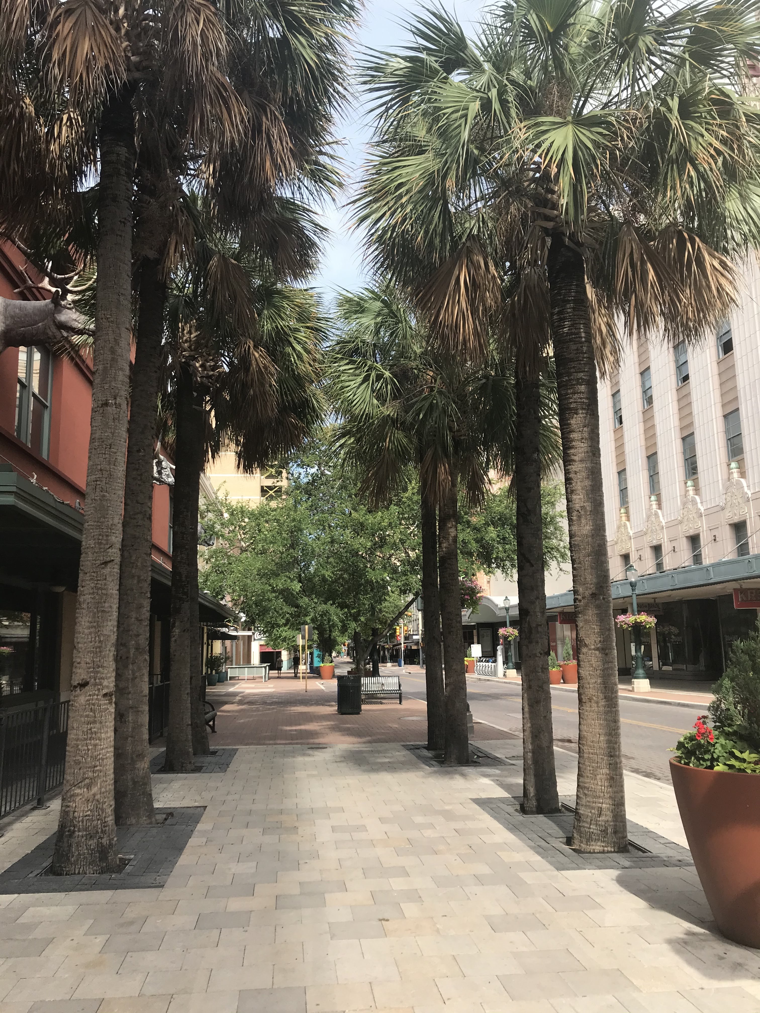 6fb1edf4-7612-4cfe-9525-9347bc3d99f9