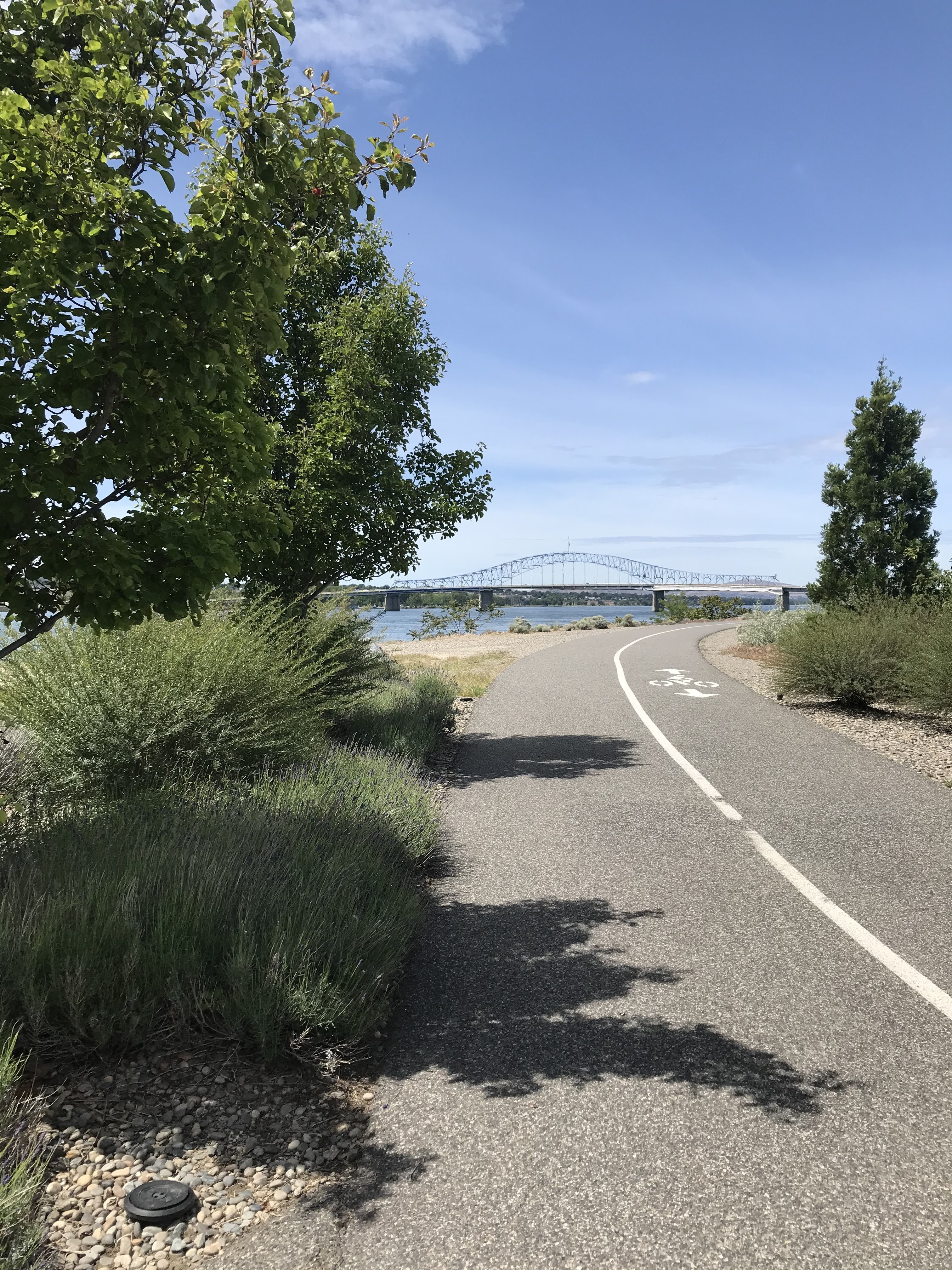 9d526a2d-4150-4ae8-892d-4e96c6400dee